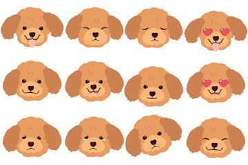 Set of Poodle dog emotions. Funny Smiling and angry, sad and delight dog. Face of dog cartoon emoji. Illustration about kawaii animal and pet in flat vector style.