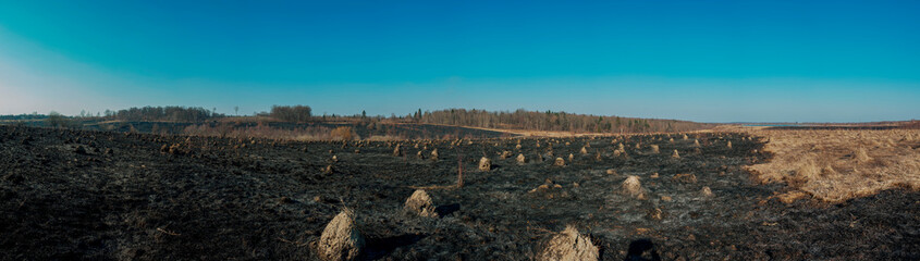 Panorama of the fire-scorched landscape, the consequences of hostilities