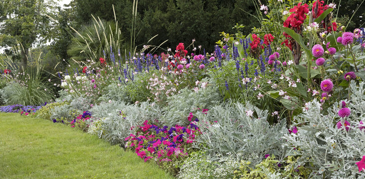 Massif de plantes dans un parc en été