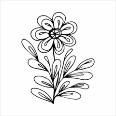 Hand drawn flower single doodle element for coloring, black and white vector image
