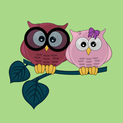 Cute owls sitting on a branch, isolated on a green background. Owl couple female and male.v
