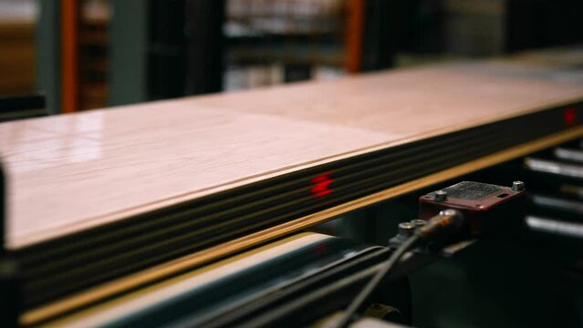 Flooring Production Plant