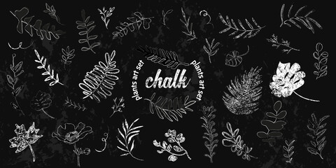 Chalk plants art set. Individual design elements for your own project. Great effect structure. Hand drawn colorful chalk plant set - universally usable. Hand drawn lines and elegant leaves.