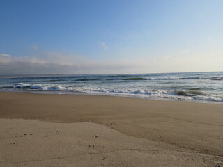 Fototapeta na wymiar playa, aves, tranquilidad, paisaje, felicidad, mar, olas, arena