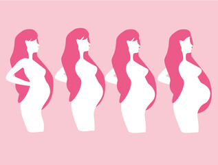 Pregnant female silhouettes. Changes in a woman's body in pregnancy. A pregnant woman in the 1st, 2nd, 3rd trimesters. Pregnancy main stages. Infographics. Flat cartoon illustration isolated.