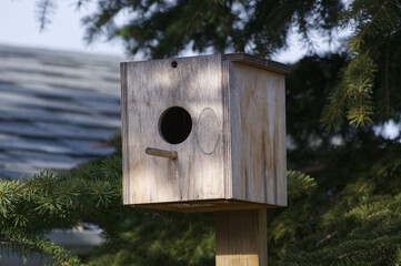 A Wooden Birdhouse in the Backyard