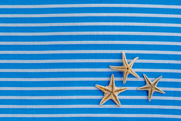 Fototapeta na wymiar Flat lay three dry starfish on white blue background 