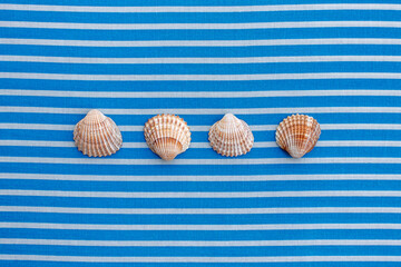 Flat lay four seashells on white blue background 