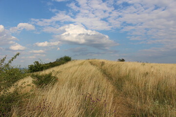 Hill path in summer time