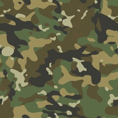 Fototapeta premium Military camouflage pattern, modern seamless background, classic texture. Ornament. Disguise