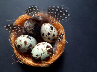 Obraz premium Easter quail eggs on a black background.