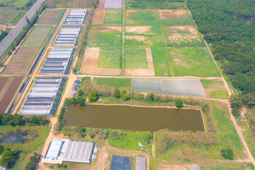 Fototapeta premium Aerial top view of roof of garden plant industry farm in agriculture concept with paddy rice field. Hydroponic natural food. Crops. Nature landscape background.