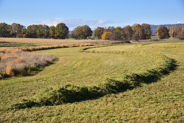 Hay making, agriculture