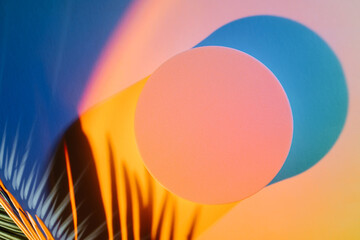 Circle with shadow from a palm leaf in neon light. Stylish abstract background to show  products.