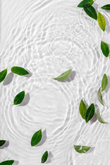 Green leaves on water surface. Beautiful water ripple background for product presentation. Copy...