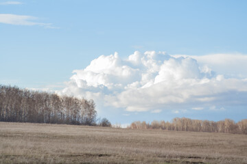Scenic spring landscape with dry grass on field.
