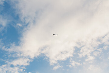 Obraz premium Lonely bird flies in spring cloudy sky.