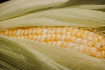 Corn on the cob on a black background. Close-up. Close-up of corn grains
