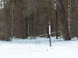 Cross-country skiing stands in the snow two athletes side by side