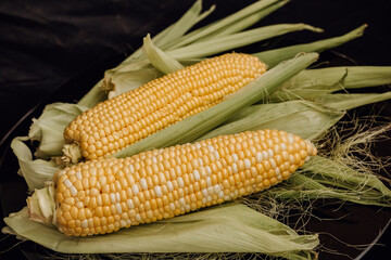 Corn on the cob on a black background. Two cobs of yellow sweet corn on green leaves