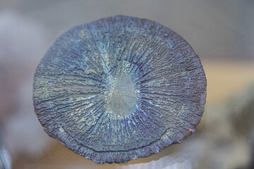 pyrite iridescent round shape. Beautiful mineral, background, texture. Soft focus, selective focus
