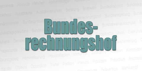 Politischer Begriff - Bundesrechnungshof