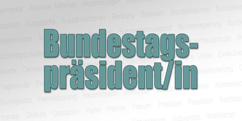 Politischer Begriff - Bundestagspräsident