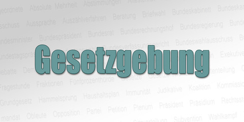Politischer Begriff - Gesetzgebung