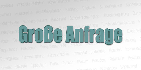 Politischer Begriff - Große Anfrage