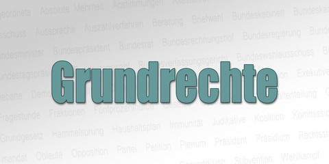 Politischer Begriff - Grundrechte