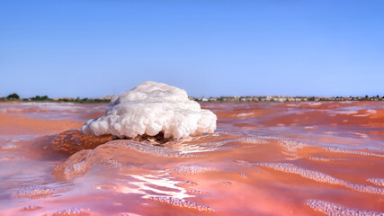 Vega Baja del Segura - Torrevieja - Laguna rosa en las salinas de Torrevieja © Sara OHT