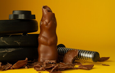 Dumbbell barbell weight plates crushing Easter chocolate bunny. Healthy fitness lifestyle...