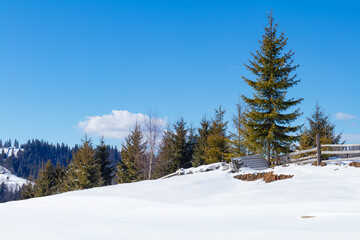  Winter scene in Carpathian Mountains, Ukraine.