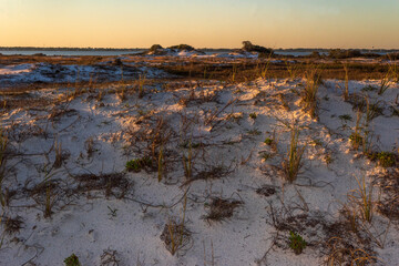 Pensacola Beach Sand Dune Landscape