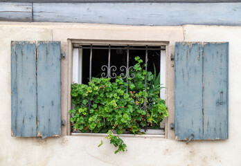 Exterior view of old window with flowers