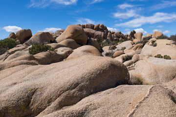 Lumps Jumbo Rocks - Joshua Tree, California - March 2022