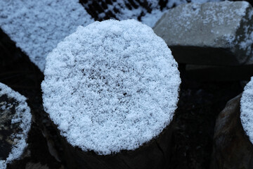 Fototapeta premium snow on a tree stump