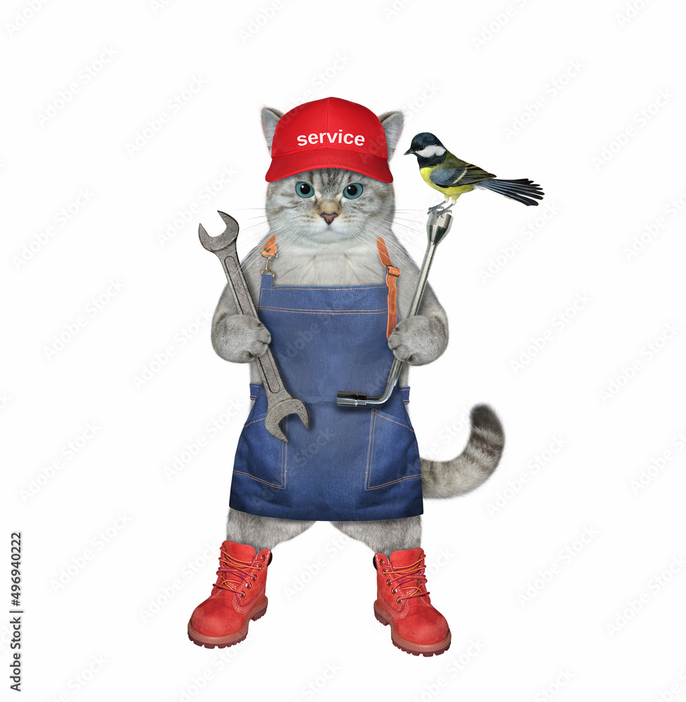 Wall mural an ashen cat auto mechanic in a red cap is holding car wrenches. white background. isolated.