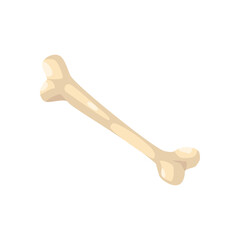 big flat bone