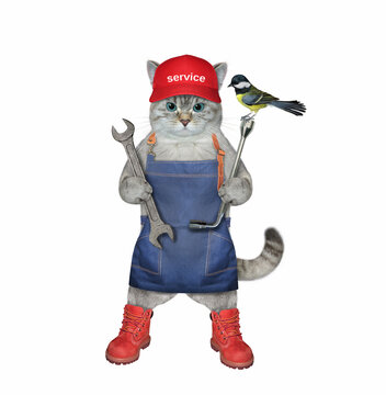 An ashen cat auto mechanic in a red cap is holding car wrenches. White background. Isolated.