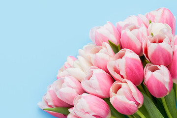Fototapeta premium Greeting card. Bouquet of bright pink tulips. Mothers Day, Valentines Day, birthday concept