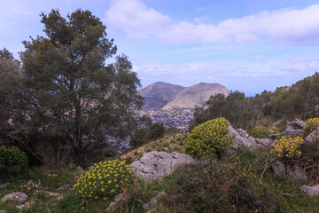 Hiking in the Spring Coastal Forest Hills of Sicily in Italy, Europe