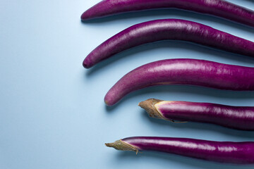Eggplants. Fresh organic eggplants on blue background. Flat lay. Free space for text.