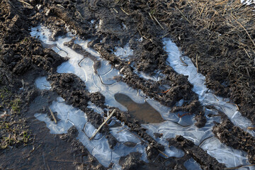 frozen puddle on the ground
