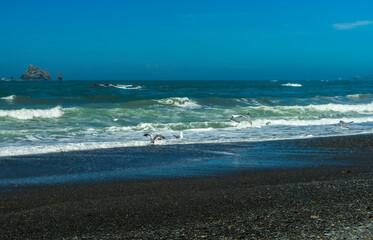 Olympic National Park Rialto Beach, Washington State	