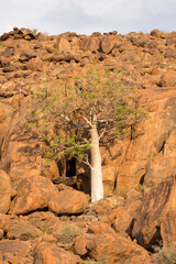 Photo of three in rock desert