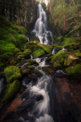 Source of Light and Water