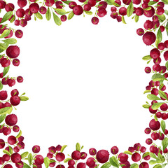 Cranberry square Frame. Watercolor hand drawn illustration with Red Berries and green leaves. Lingonberry background for greetings cards r invitations