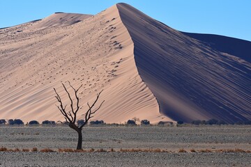 Dünen im Morgenlicht auf dem Weg ins Sossusvlei (im Namib-Naukluft-Park in Namibia)