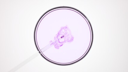 Top view macro shot of lab dropper injects violet liquid into light violet one in petri dish on white background | Abstract skincare ingredients mixing concept
